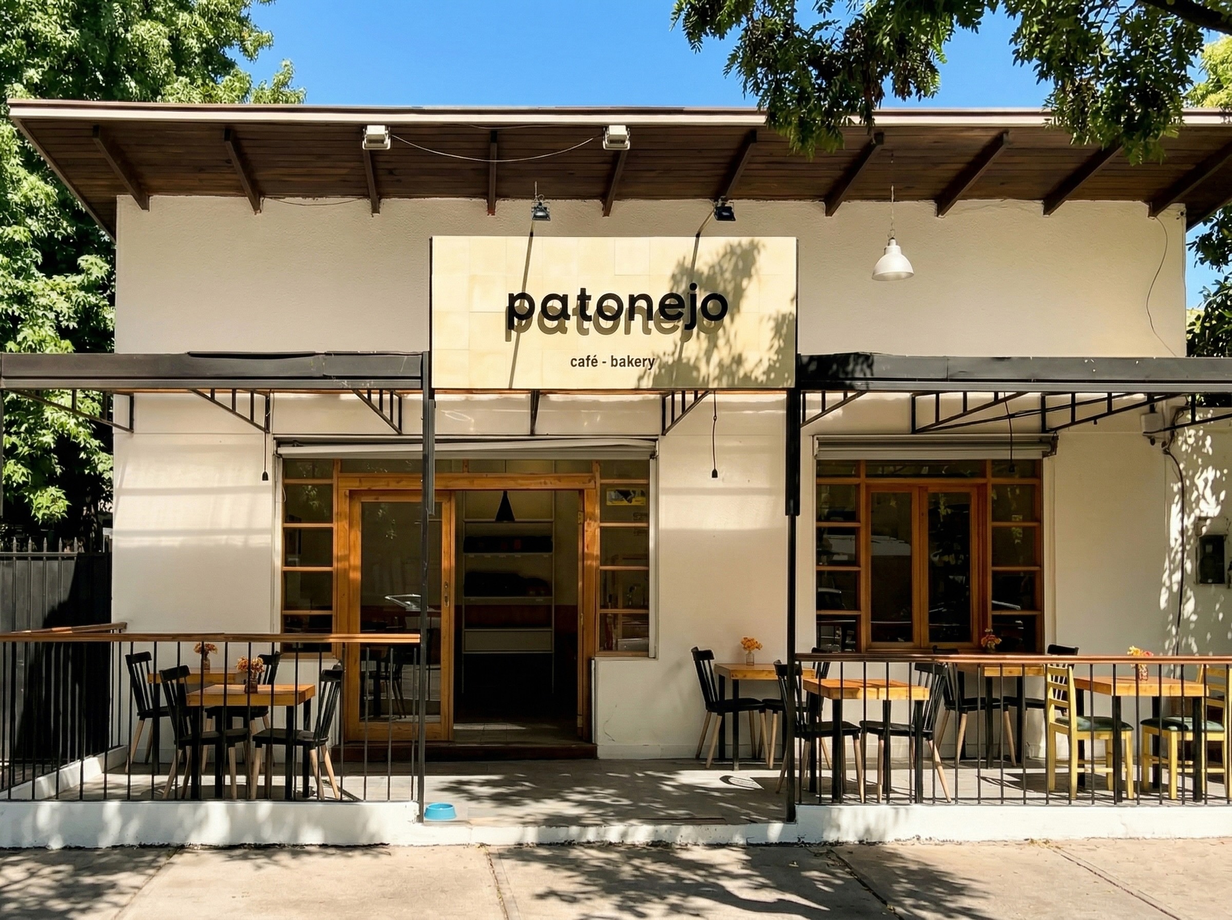 Patonejo
